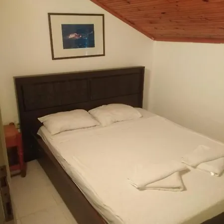 Villa Turtle Villas *