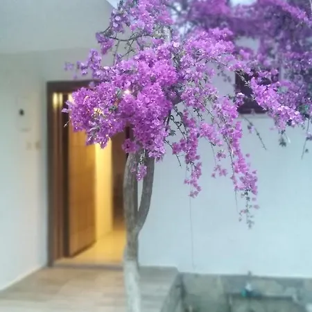 Villa Turtle Villas *